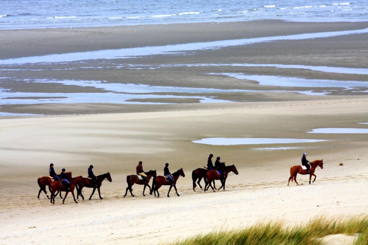 Un groupe de cavaliers casqués se promène à cheval, au pas, sur la plage du Touquet à marée basse. Des oyats poussent au premier plan
