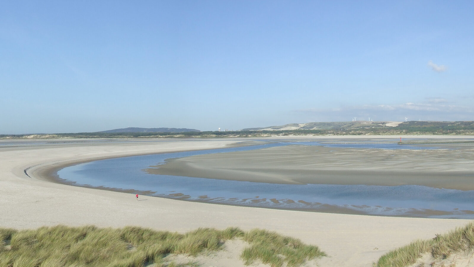 L’estuaire de la Canche à marée basse : un chenal d’eau fait une boucle entre de grands bancs de sable, avec des oyats au premier plan et la rive opposée à l’horizon